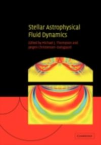 Produktbild: Stellar Astrophysical Fluid Dynamics