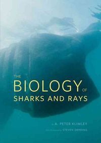Produktbild: The Biology of Sharks and Rays