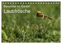 Produktbild: Besucher im Garten - Laubfr&ouml;sche (Tischkalender 2026 DIN A5 quer), CALVENDO Monatskalender