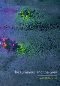Produktbild: Luminous and the Grey