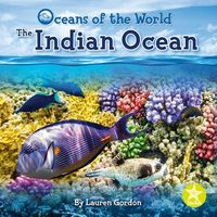 Produktbild: Indian Ocean
