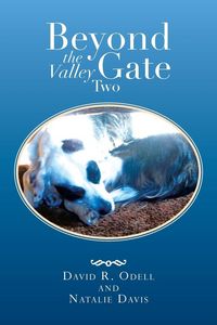 Produktbild: Beyond the Valley Gate Two