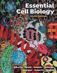 Produktbild: Alberts, B: Essential Cell Biology