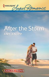 Produktbild: After the Storm