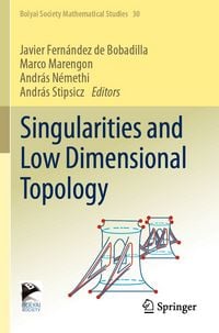 Produktbild: Singularities and Low Dimensional Topology