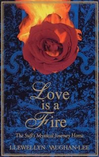 Produktbild: Love Is a Fire