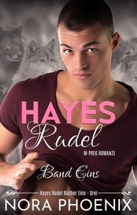 Produktbild: Hayes Rudel Band Eins: Hayes Rudel B&uuml;cher Eins - Drei