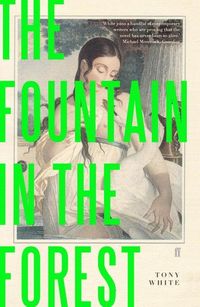 Produktbild: White, T: The Fountain in the Forest