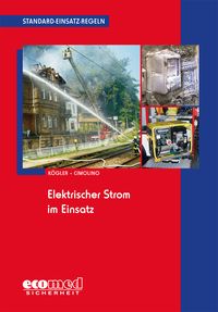 Produktbild: Standard-Einsatz-Regeln: Elektrischer Strom im Einsatz