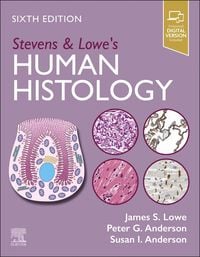 Produktbild: Stevens & Lowe's Human Histology