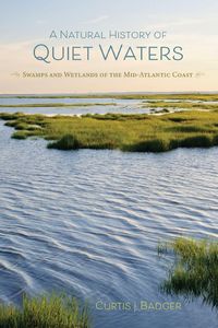 Produktbild: A Natural History of Quiet Waters