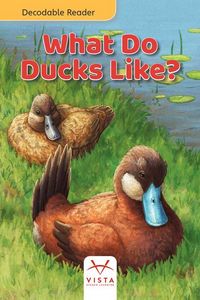 Produktbild: What Do Ducks Like?