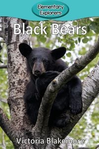 Produktbild: Black Bears