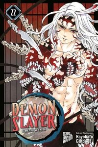 Produktbild: Demon Slayer - Kimetsu no Yaiba 22