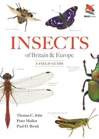 Produktbild: Insects of Britain and Europe