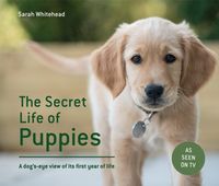 Produktbild: Whitehead, S: The Secret Life of Puppies