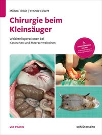 Bild vom Artikel Chirurgie beim Kleinsäuger vom Autor Milena Thöle