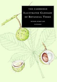 Produktbild: The Cambridge Illustrated Glossary of Botanical Terms