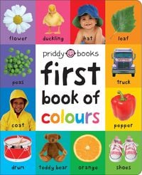 Produktbild: First 100 Book of Colours