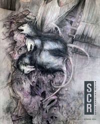 Produktbild: South Carolina Review