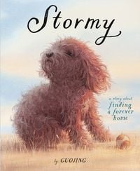Produktbild: Stormy