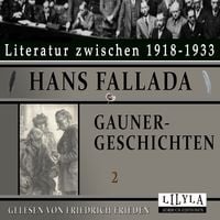 Produktbild: Gaunergeschichten 2