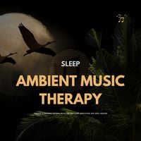 Produktbild: SLEEP: Ambient Music Therapy