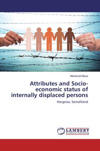 Produktbild: Attributes and Socio-economic status of internally displaced persons