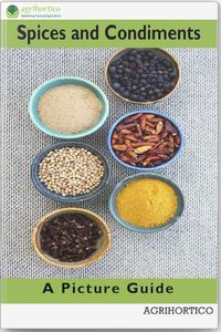 Produktbild: Spices and Condiments