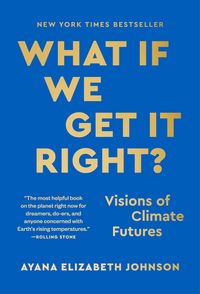 Produktbild: What If We Get It Right?