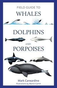 Bild vom Artikel Field Guide to Whales, Dolphins and Porpoises vom Autor Mark Carwardine