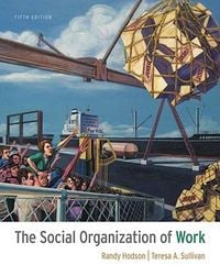 Produktbild: The Social Organization of Work