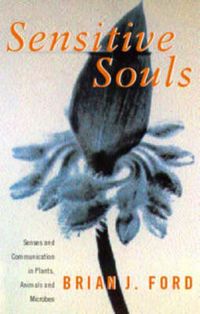 Produktbild: Sensitive Souls