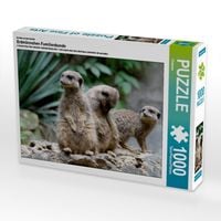 Produktbild: CALVENDO Puzzle Erdm&auml;nnchen - kleine Wachposten | 1000 Teile Lege-Gr&ouml;&szlig;e 64x48cm Foto-Puzzle f&uuml;r gl&uuml;ckliche Stunden