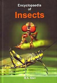 Produktbild: Encyclopaedia of Insects