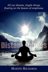 Produktbild: Distant Echoes