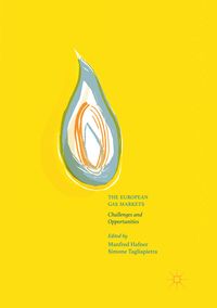 Produktbild: The European Gas Markets