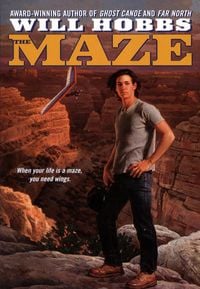 Produktbild: The Maze
