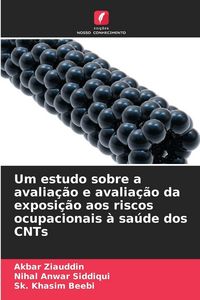 Produktbild: Um estudo sobre a avalia&ccedil;&atilde;o e avalia&ccedil;&atilde;o da exposi&ccedil;&atilde;o aos riscos ocupacionais &agrave; sa&uacute;de dos CNTs