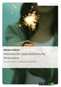 Produktbild: Intrinsische und extrinsische Motivation. Konsequenzen f&uuml;r p&auml;dagogisches Handeln