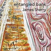 Produktbild: Entangled Bank