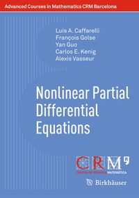 Produktbild: Nonlinear Partial Differential Equations