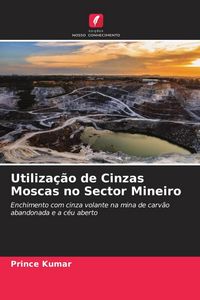 Produktbild: Utiliza&ccedil;&atilde;o de Cinzas Moscas no Sector Mineiro