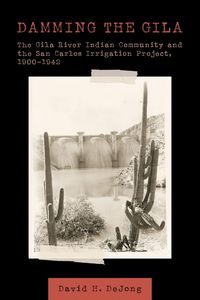 Produktbild: Damming the Gila