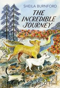 Produktbild: The Incredible Journey