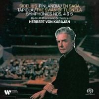 Produktbild: Finlandia,En Saga,Sinfonien Nr. 4&5