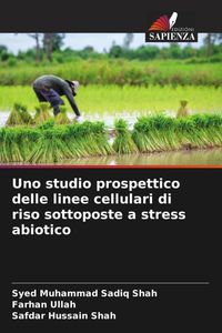 Produktbild: Uno studio prospettico delle linee cellulari di riso sottoposte a stress abiotico