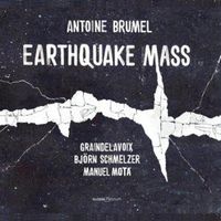 Produktbild: Earthquake Mass