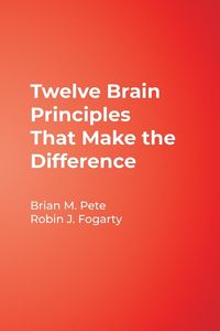 Produktbild: Twelve Brain Principles That Make the Difference