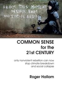 Produktbild: Common Sense for the 21st Century
